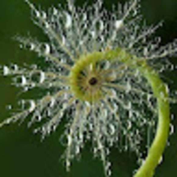 Meet your Posher, Judy l. - Picture 1 of 1